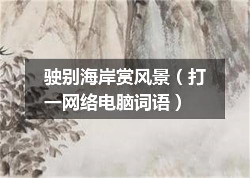 驶别海岸赏风景（打一网络电脑词语）