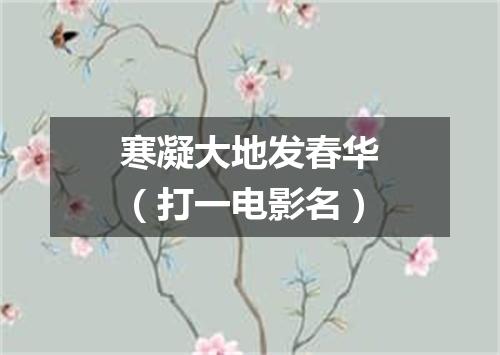 寒凝大地发春华（打一电影名）