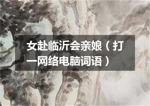 女赴临沂会亲娘（打一网络电脑词语）