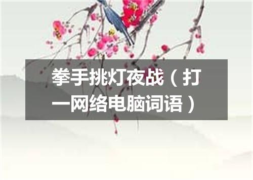 拳手挑灯夜战（打一网络电脑词语）