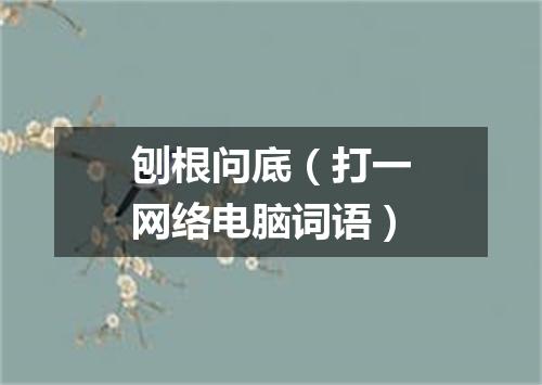 刨根问底（打一网络电脑词语）