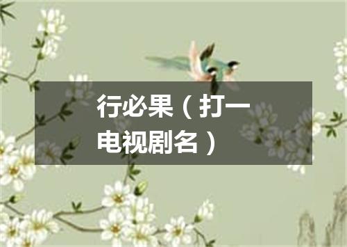 行必果（打一电视剧名）