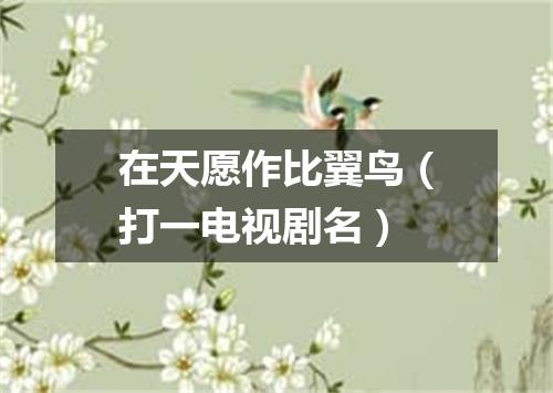 在天愿作比翼鸟（打一电视剧名）