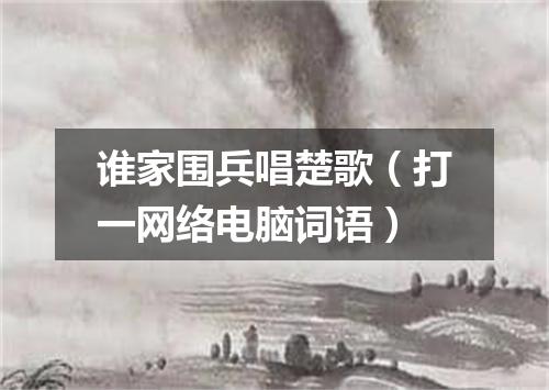 谁家围兵唱楚歌（打一网络电脑词语）