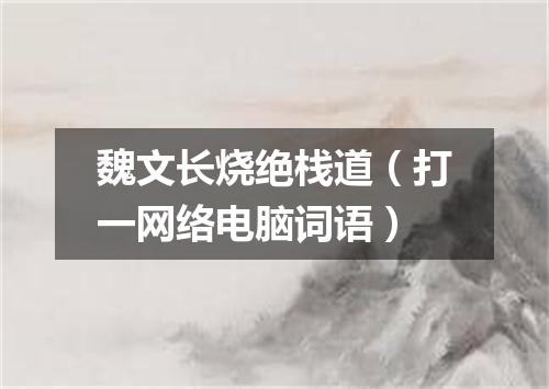 魏文长烧绝栈道（打一网络电脑词语）