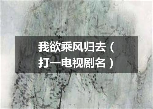我欲乘风归去（打一电视剧名）
