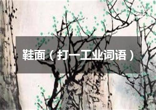 鞋面（打一工业词语）