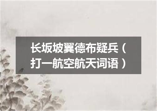 长坂坡翼德布疑兵（打一航空航天词语）