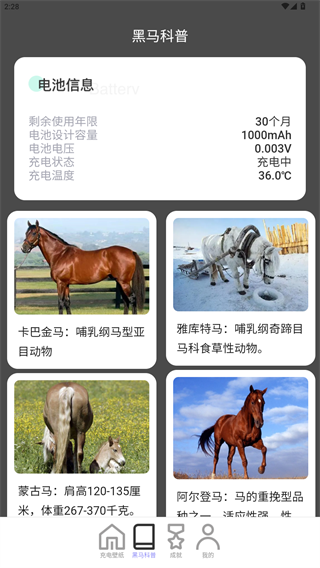 黑马充电