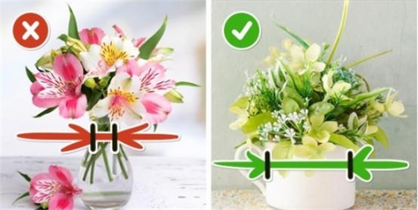 娟蝶鲜花