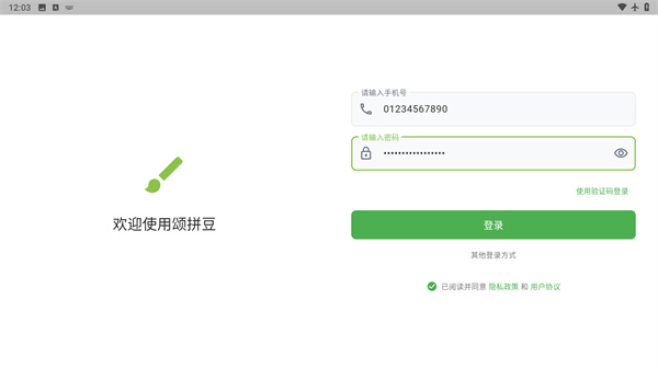颂拼豆