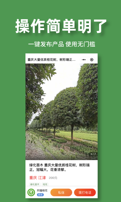 好苗木