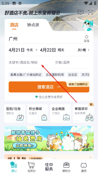 东呈青猫会