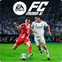 fifa
