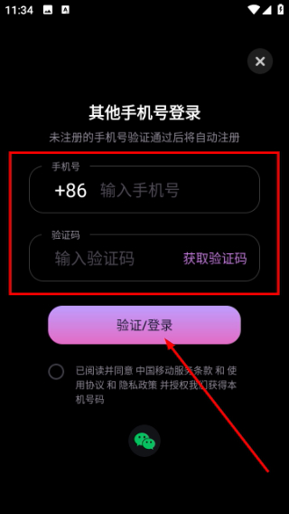 有象