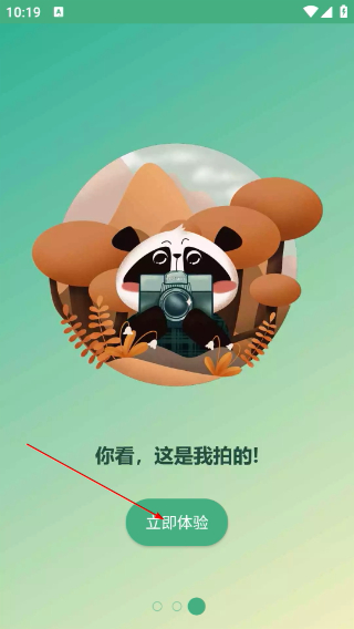 显贝