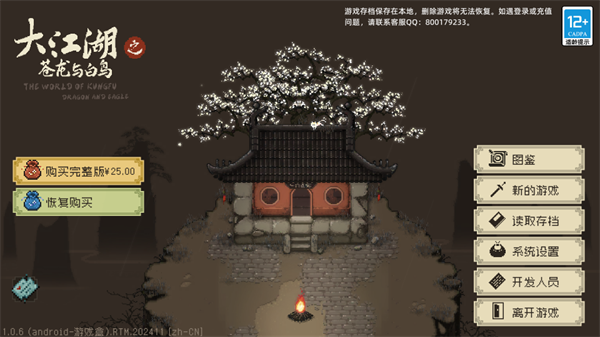 大江湖之苍龙与白鸟