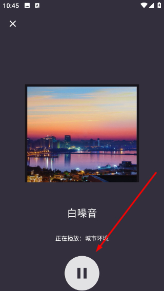葵花睡眠