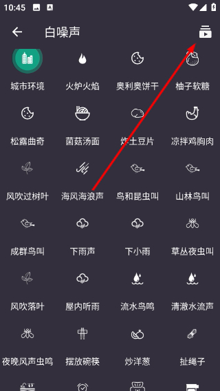 葵花睡眠