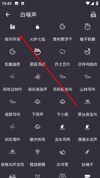葵花睡眠