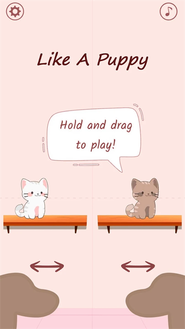 猫咪二重奏
