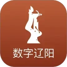 数字辽阳