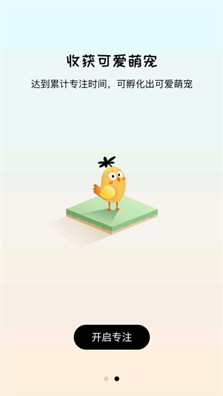 专注崽崽
