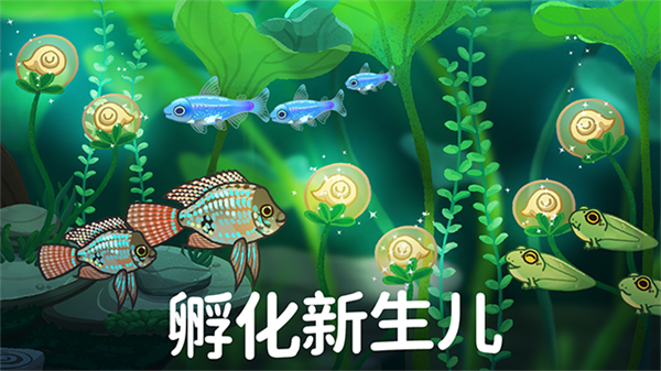 池趣