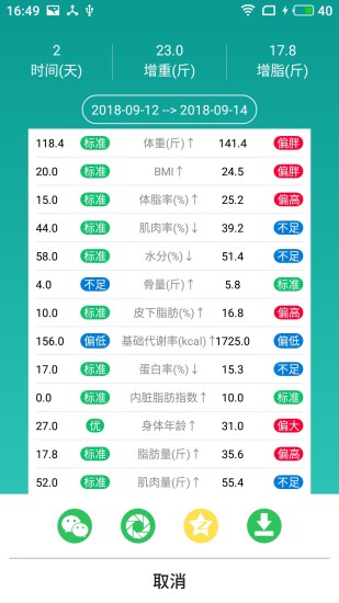 瘦金体