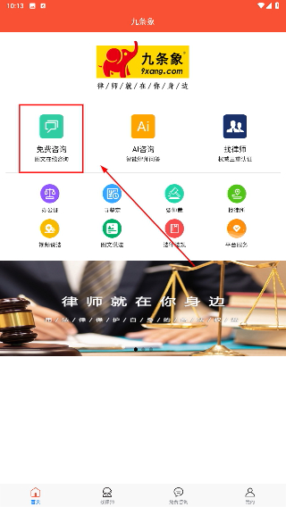 九条象