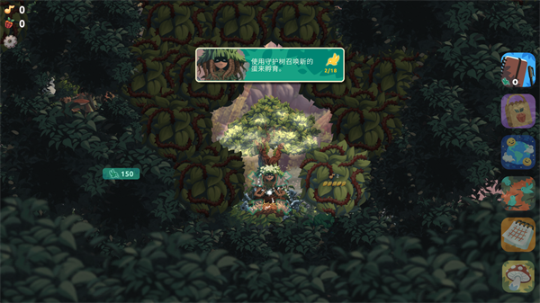 鸟类世界