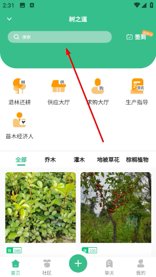 树之道
