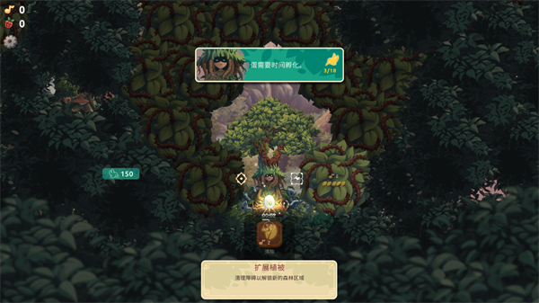 鸟类世界
