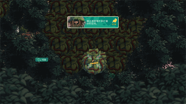 鸟类世界