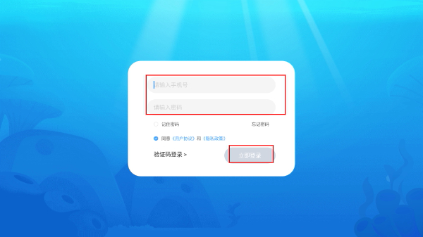 鲸鱼学堂