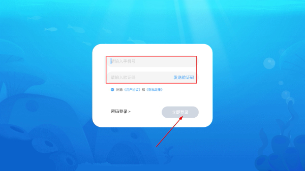 鲸鱼学堂