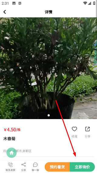 树之道