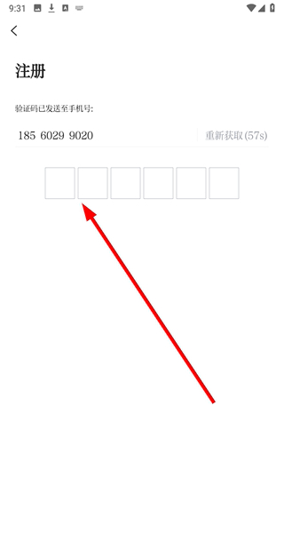 望潮