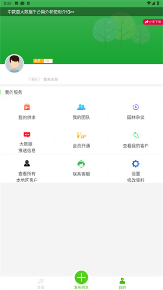 中数苗