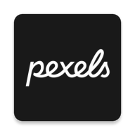 pexels视频素材