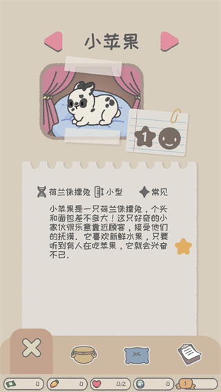 兔兔乐园