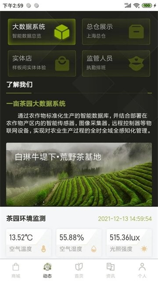一亩茶园