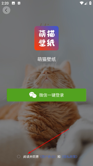 萌猫桌面壁纸app