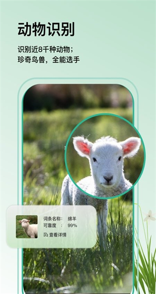 万物识图最新版