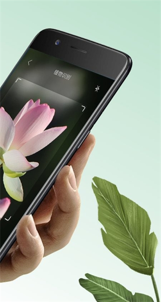 万物识图最新版